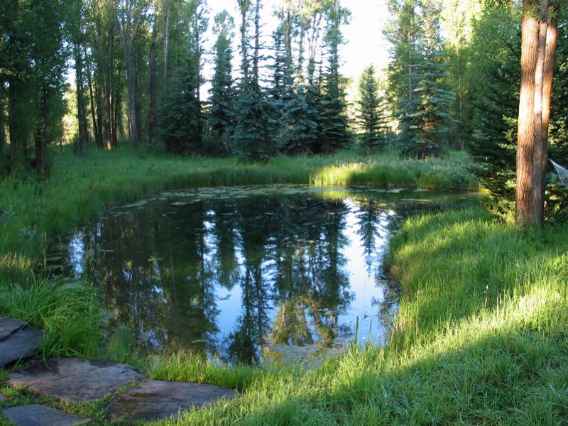 Still Water Pool