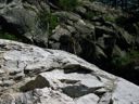 thumbnail of "Furry Critter On Rock"