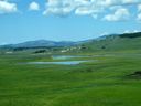 thumbnail of "Very Distant Bison On The Plain"