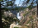 thumbnail of "Lower Falls of Yellowstone - Trees"