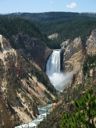 thumbnail of "Lower Falls of Yellowstone - 13"