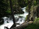 thumbnail of "Cascade Creek - 19"