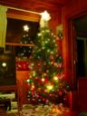 Thumbnail of Image- Christmas Tree
