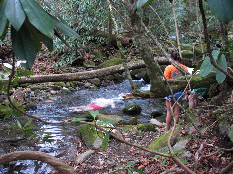 Henry's Winter Dip - 2