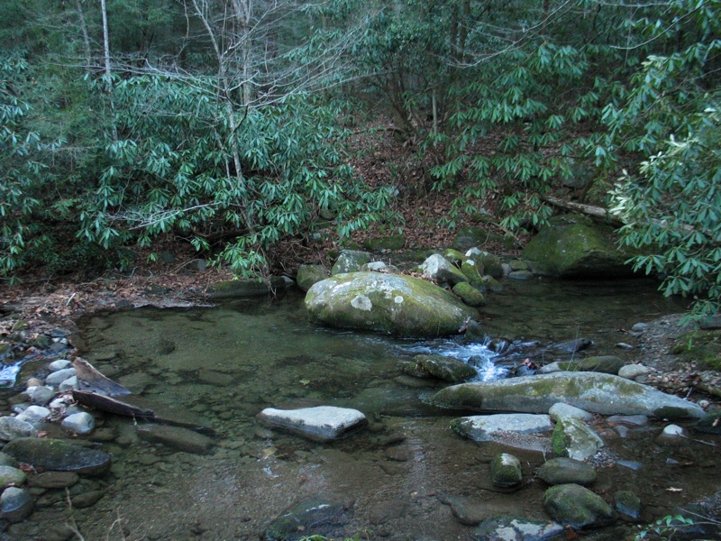 The Creek - 4