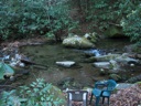 Thumbnail of Image- The Creek - 1
