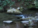 thumbnail of "The Creek - 3"