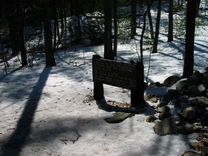 Walden Pond Cabin Sign