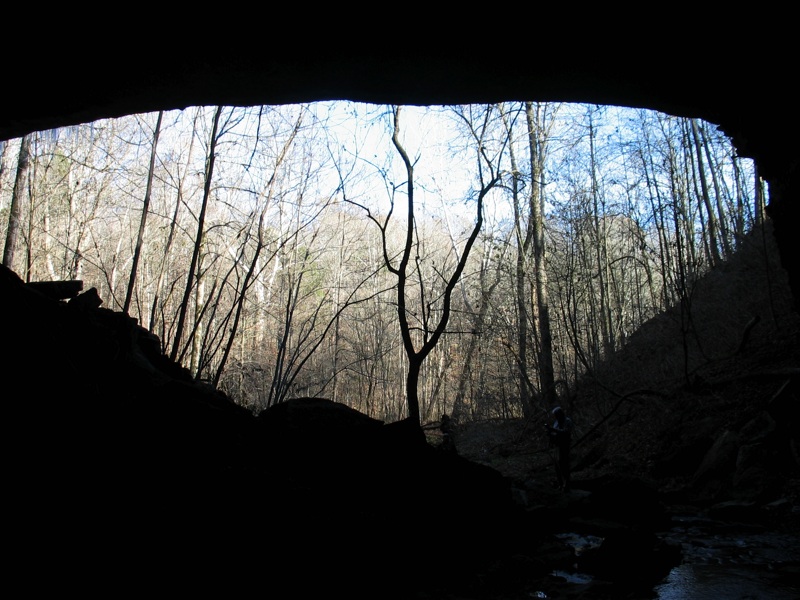 Looking Out From Within The Cave - 1