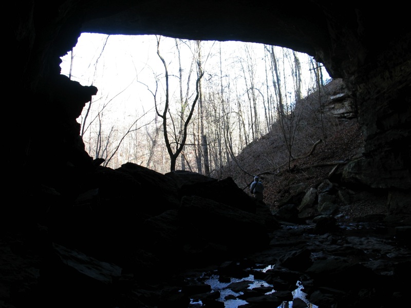 Looking Out From Within The Cave - 2