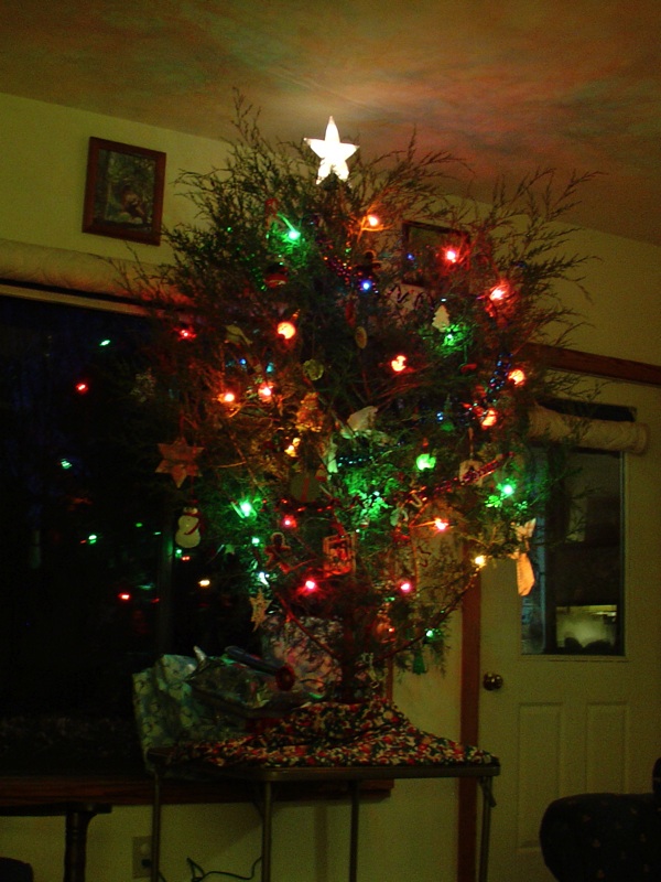 Christmas Tree