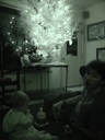 thumbnail of "Family And Night Vision Christmas Tree"