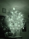 Thumbnail of Image- Night Vision Christmas Tree