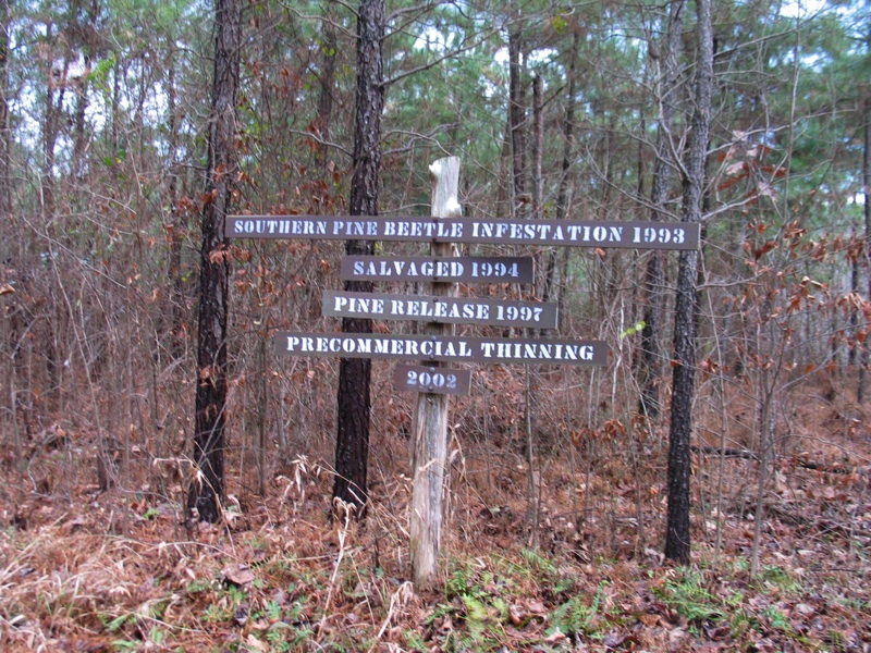 Duke Sign