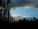 thumbnail of "Trees And Sky - 1"