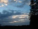 Thumbnail of Image- Trees And Sky - 4
