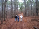 thumbnail of "Walkers Walking - 3"