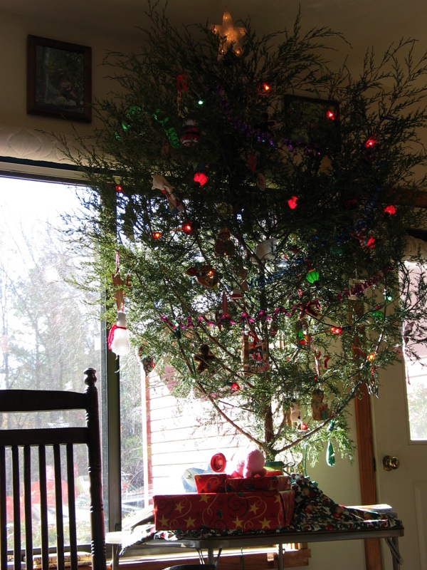 Sunny Christmas Tree