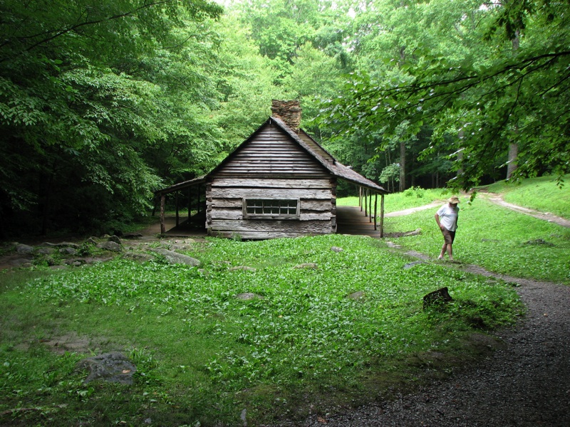 Henry By A Cabin