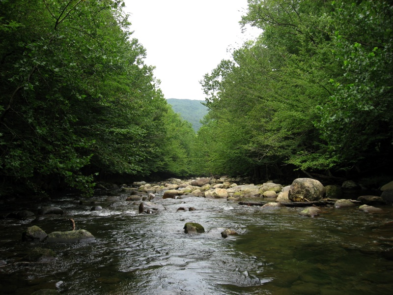 River Swimming Hole - 4