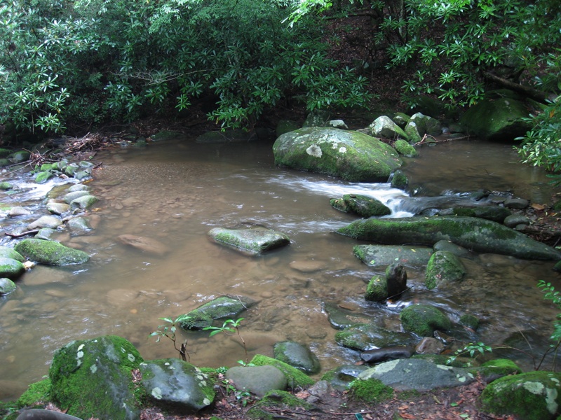 The Pool By The Cabin