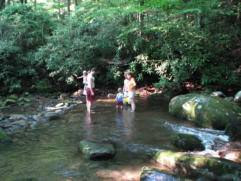 Third Cousins Playing In The Creek - 2