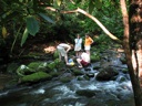 thumbnail of "Third Cousins Playing In The Creek - 0"