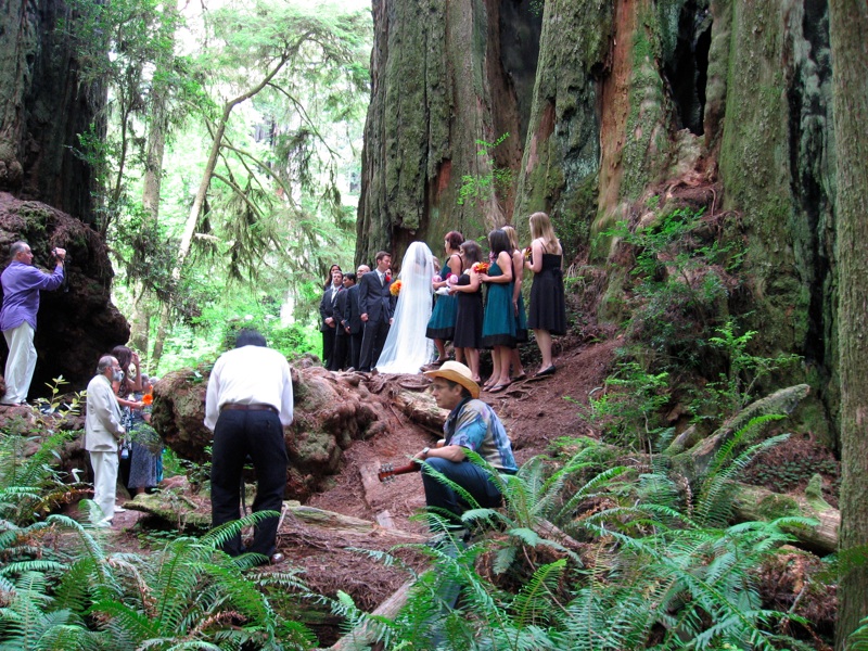 Assembled Wedding Party