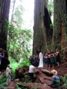 Thumbnail of Image- Assembled Wedding Party - With Trees