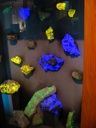 thumbnail of "Glowing Rocks"
