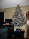 Thumbnail of Image- Decorated Tree