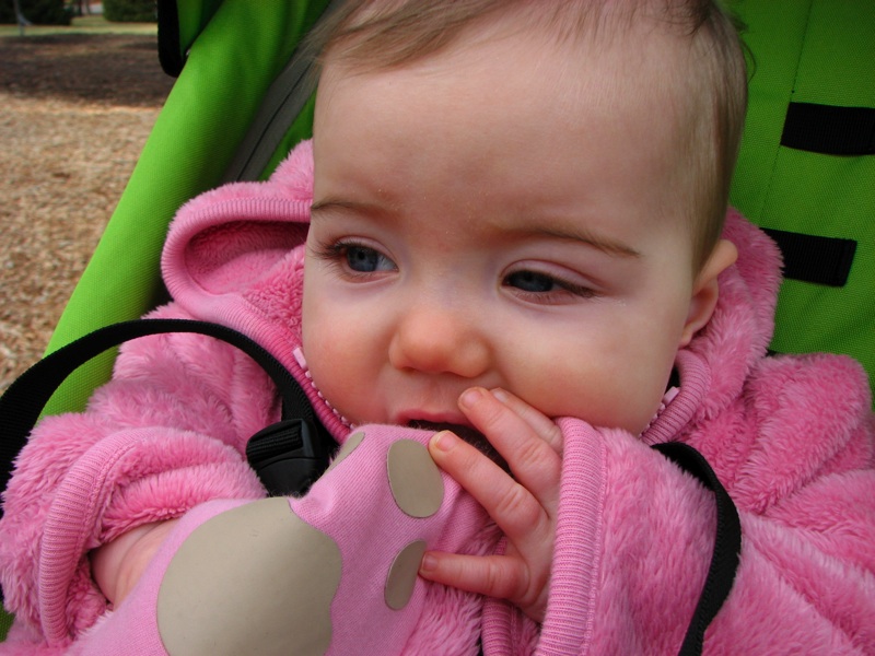 Isabel In Her Stroller - 2