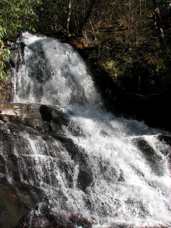 Laurel Falls - 1