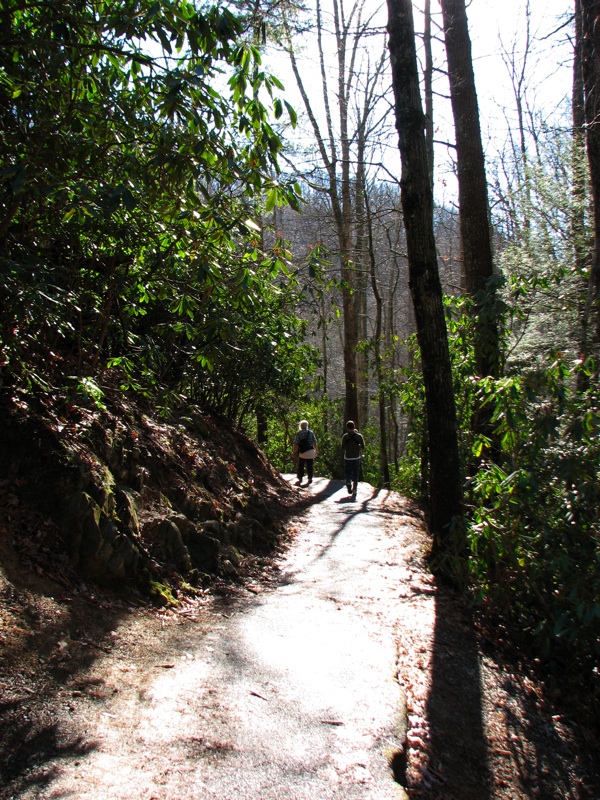 Path Below Laurel Falls - 1