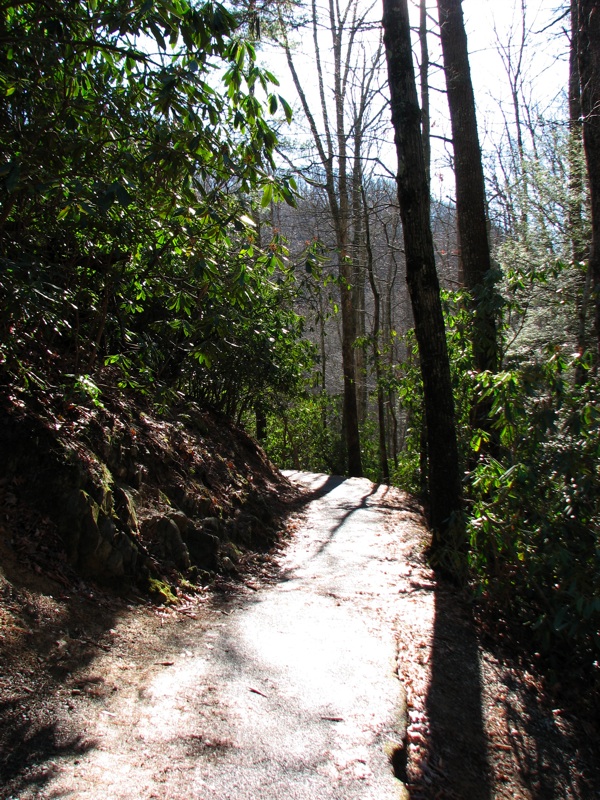 Path Below Laurel Falls - 2