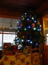 Thumbnail of Image- Christmas Tree