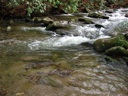 thumbnail of "Creek - 1"