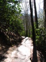thumbnail of "Path Below Laurel Falls - 2"