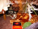 Thumbnail of Image- Coco Under The Tree - 1