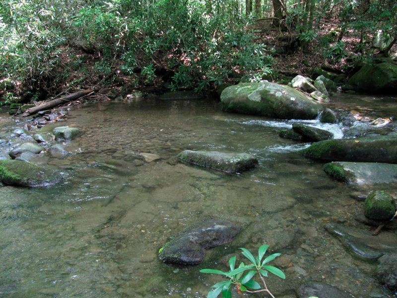 Creek By The Cabin