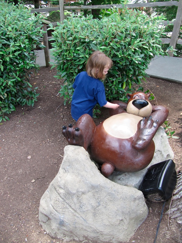 Rachel Inspects The Sleepy Bear