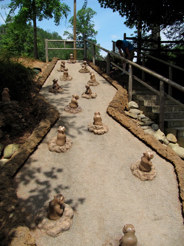 Treacherous Prairie Dogs From Below