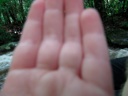 thumbnail of "Rachel's Hand"