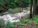 Thumbnail of Image- Swollen Creek - 01