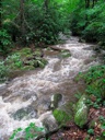 Thumbnail of Image- Swollen Creek - 02