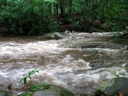 thumbnail of "Swollen Creek - 03"