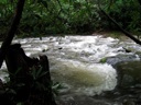 thumbnail of "Swollen Creek - 07"