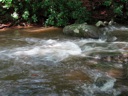 Thumbnail of Image- Swollen Creek - 09