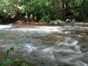 thumbnail of "Swollen Creek - 10"