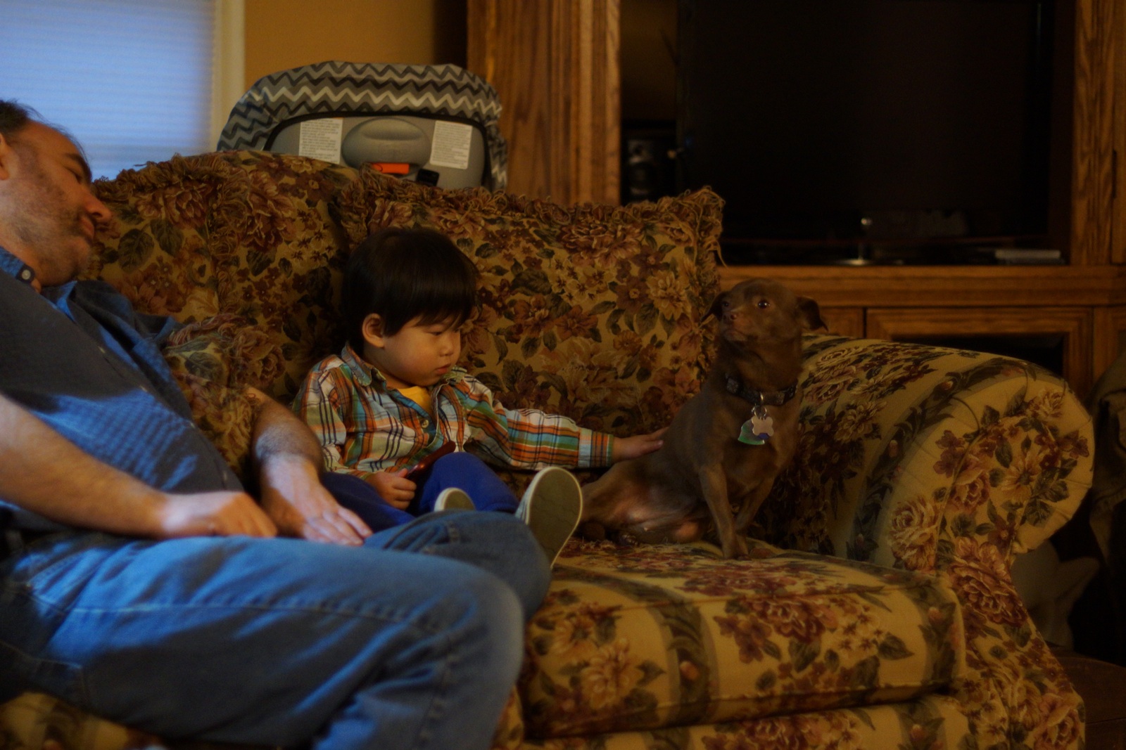 Alex & Echo - 1